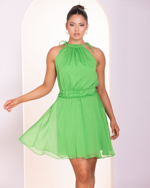 Arellia Mini Dress